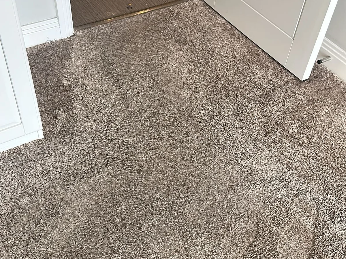 Carpet Cleaning — Amaiya Sparks